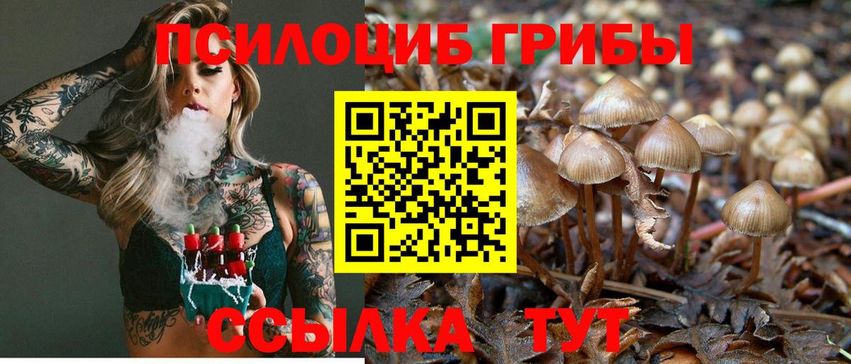 Псилоцибиновые грибы GOLDEN TEACHER Звенигород