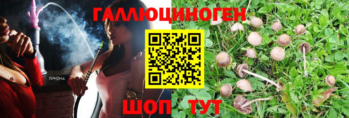 Звенигород  Галлюциногенные грибы Magic Shrooms  Вход с VPN 